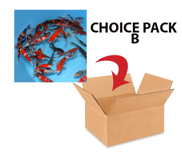 choice-pack-b