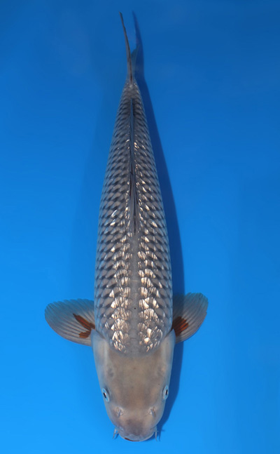 u0517s001