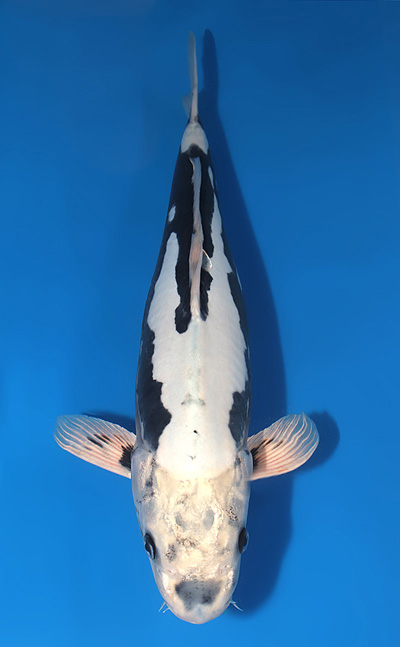 u0519t037