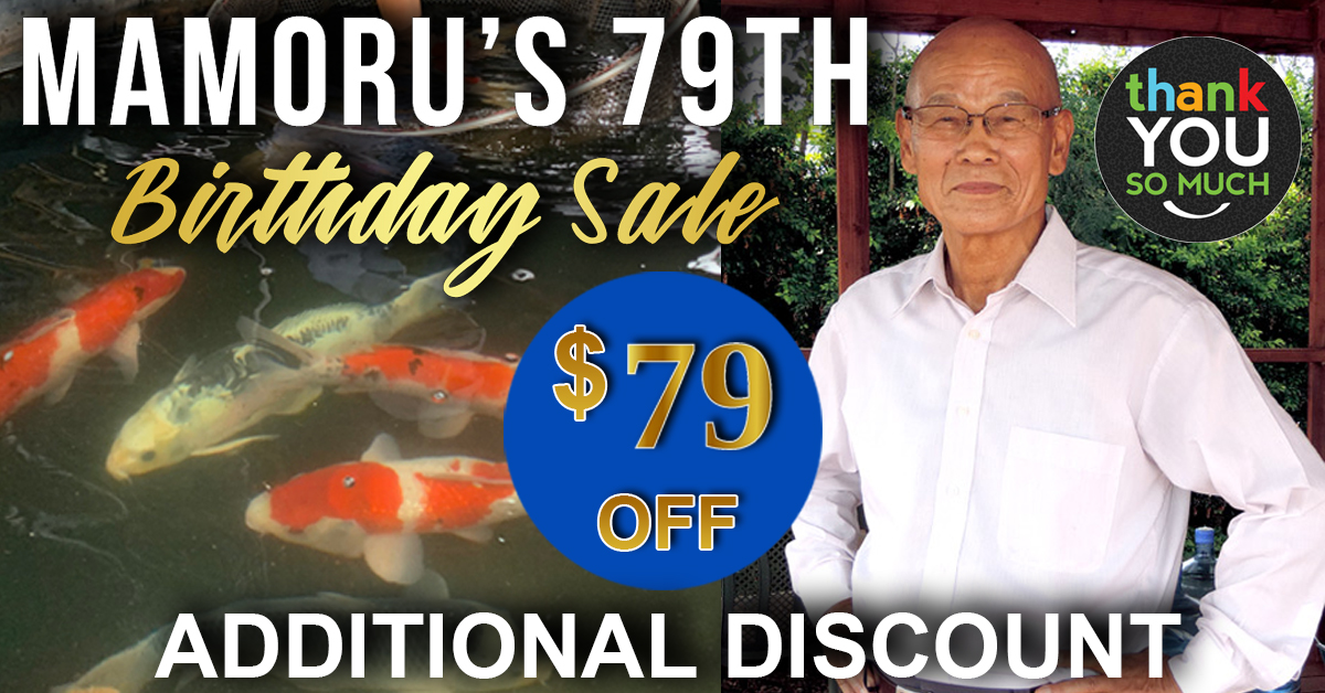 Kaicho Discount