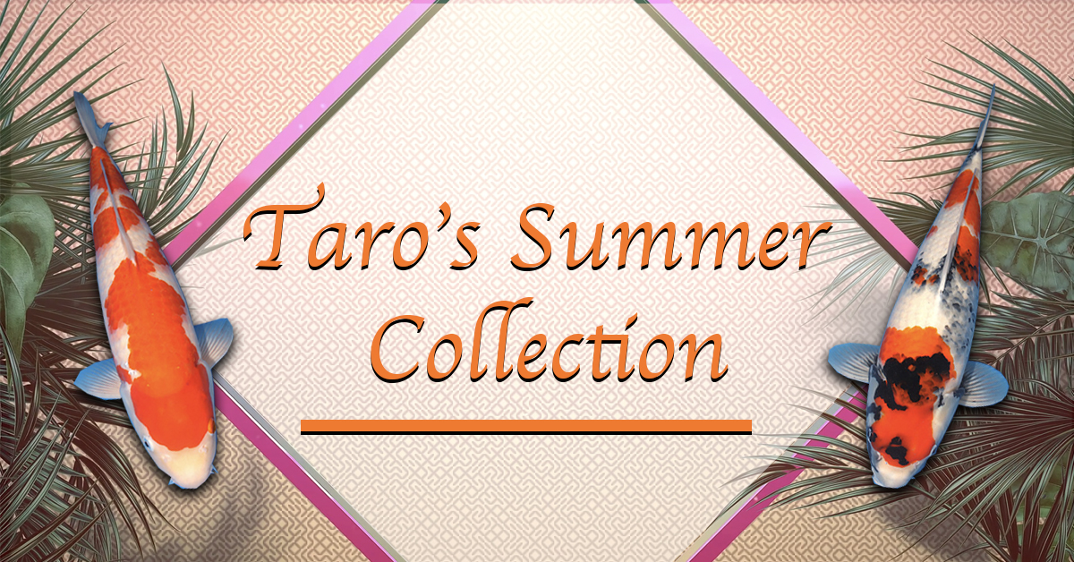 Taro's Summer Collection