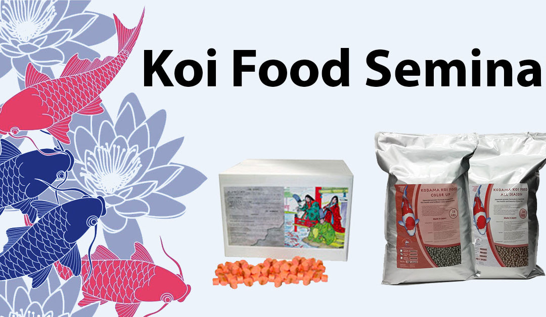Koi Food Seminar Recap – How To Feed Your Koi Properly