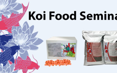 Koi Food Seminar Recap – How To Feed Your Koi Properly