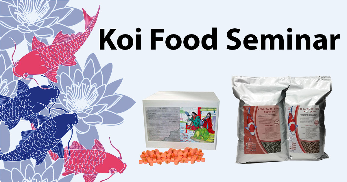 Koi Food Seminar Recap How To Feed Your Koi Properly
