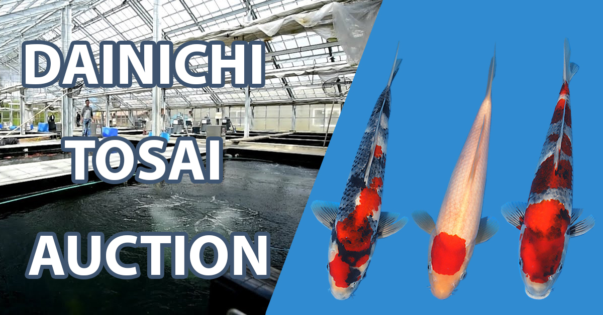 Dainichi Tosai Auction Banner