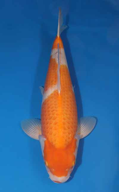 u0725s004