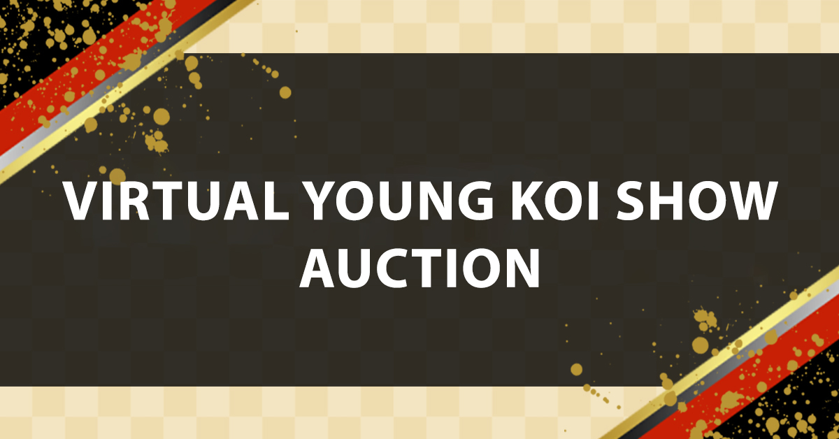 young Koi Show Auction Banner