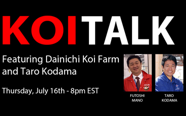KOI TALK RECAP: Featuring Dainichi Koi Farm – Raising Champion Level Gosanke