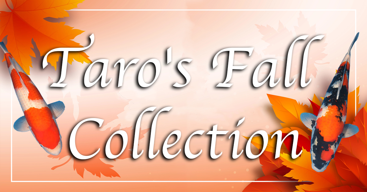 Taros-Fall-Collection-banner