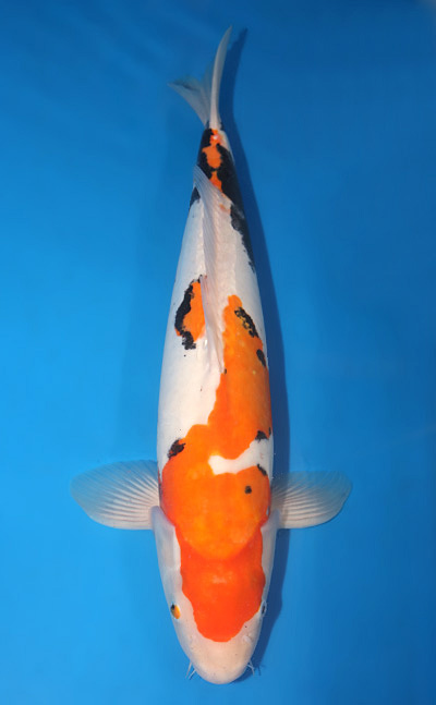 u0912s023