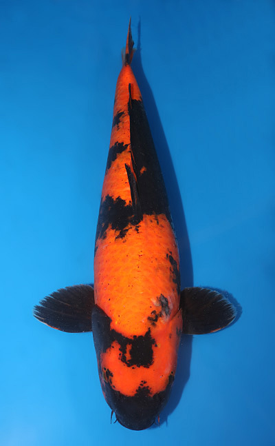 u0912s030