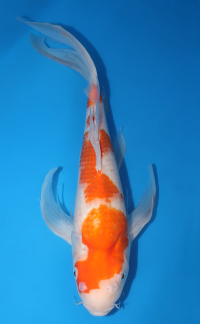 u0915s014