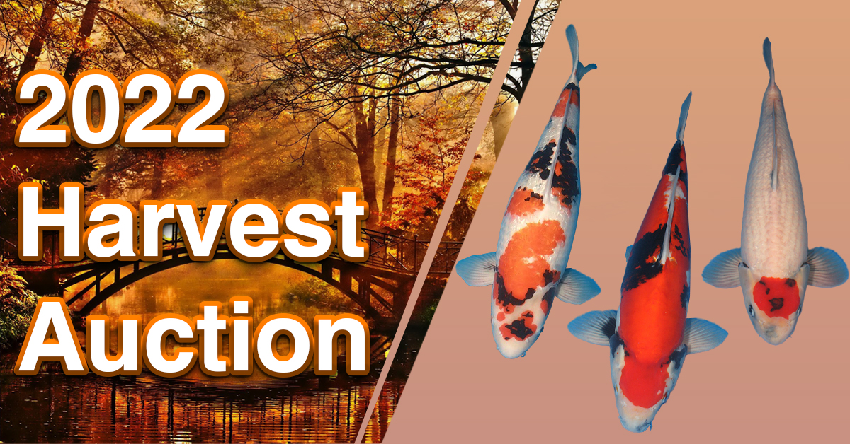 2022 Harvest Auction Banner