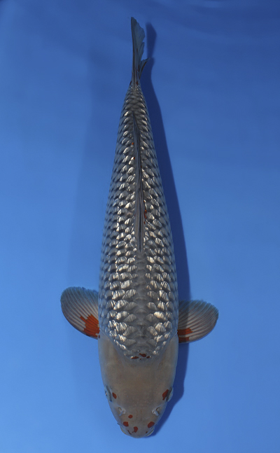 u1006s002