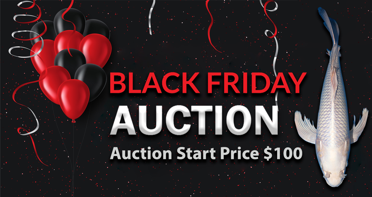2023 Black Friday Special Auction No. 1 Landing Page Banner