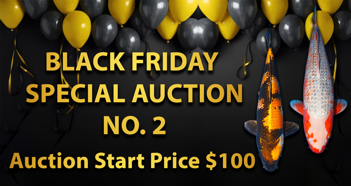 2023 Black Friday Special Auction No. 2 Landing Page Banner