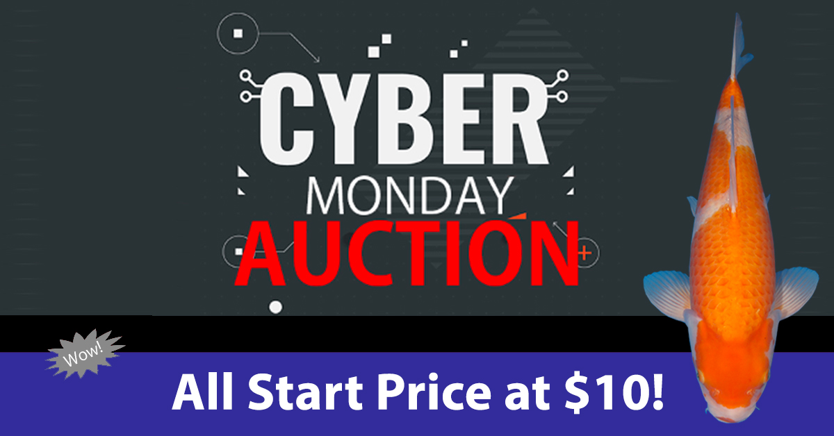Cyber Monday Auction Banner