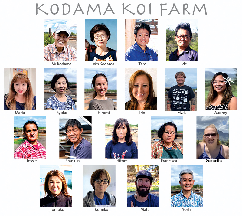 kodama-member-19