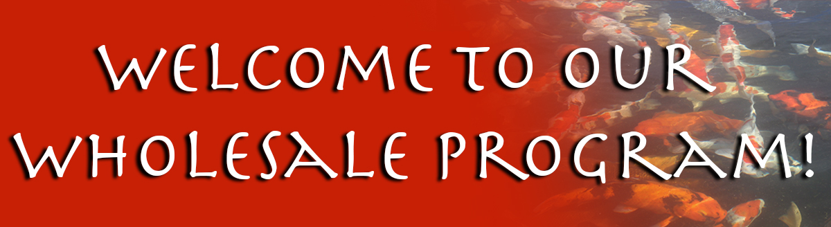 Welcome To Wholesale
