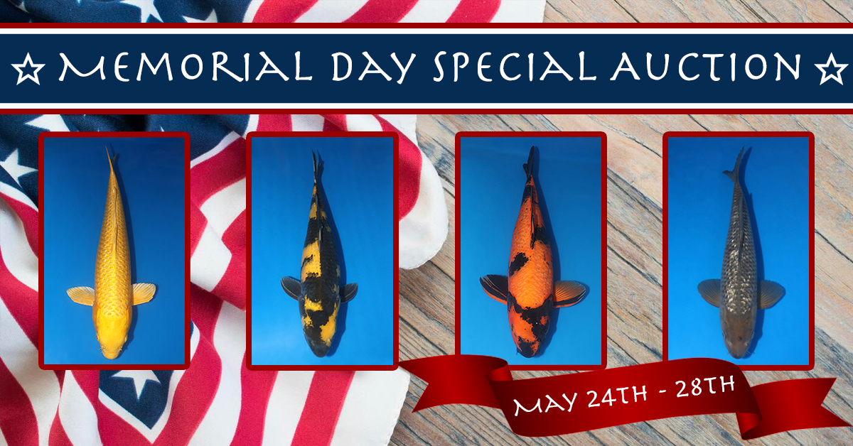 2023 Memorial Day Special Auction Banner