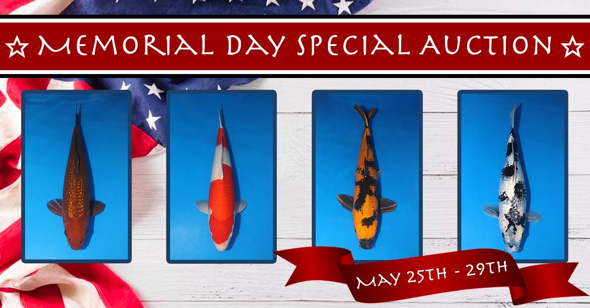 2023 Memorial Day Special Auction No.2 Banner