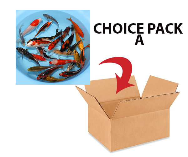 choice-pack-a