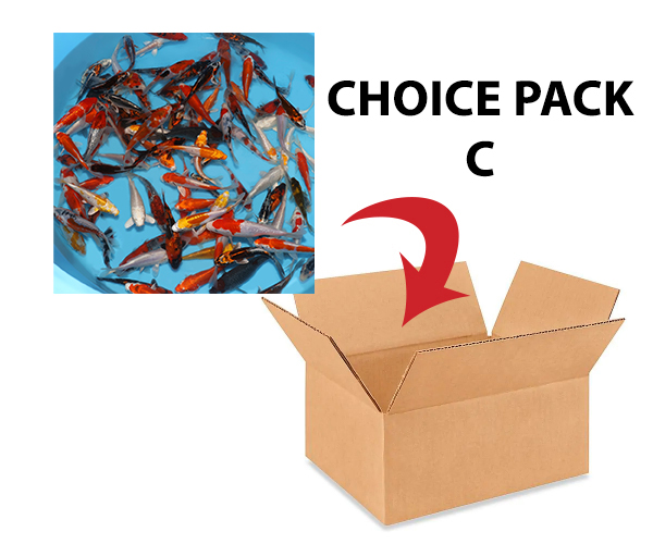 choice-pack-c