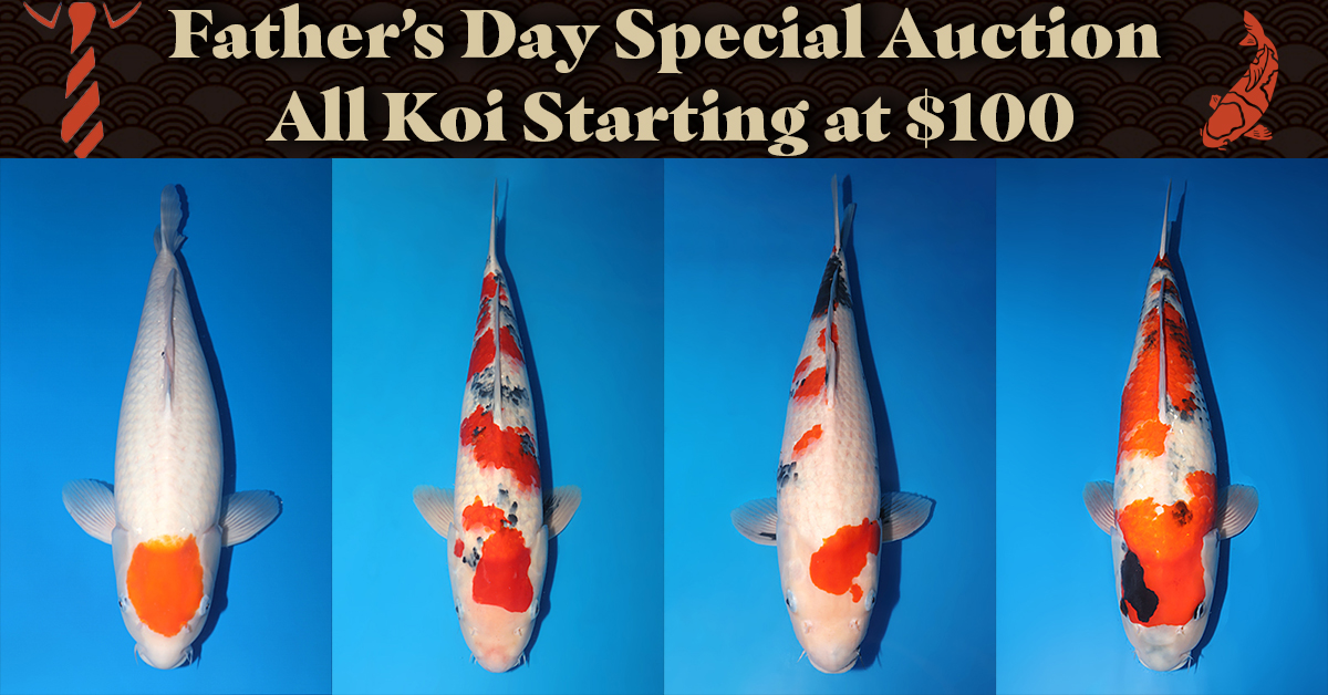 Father's Day Special Auction FB Banner