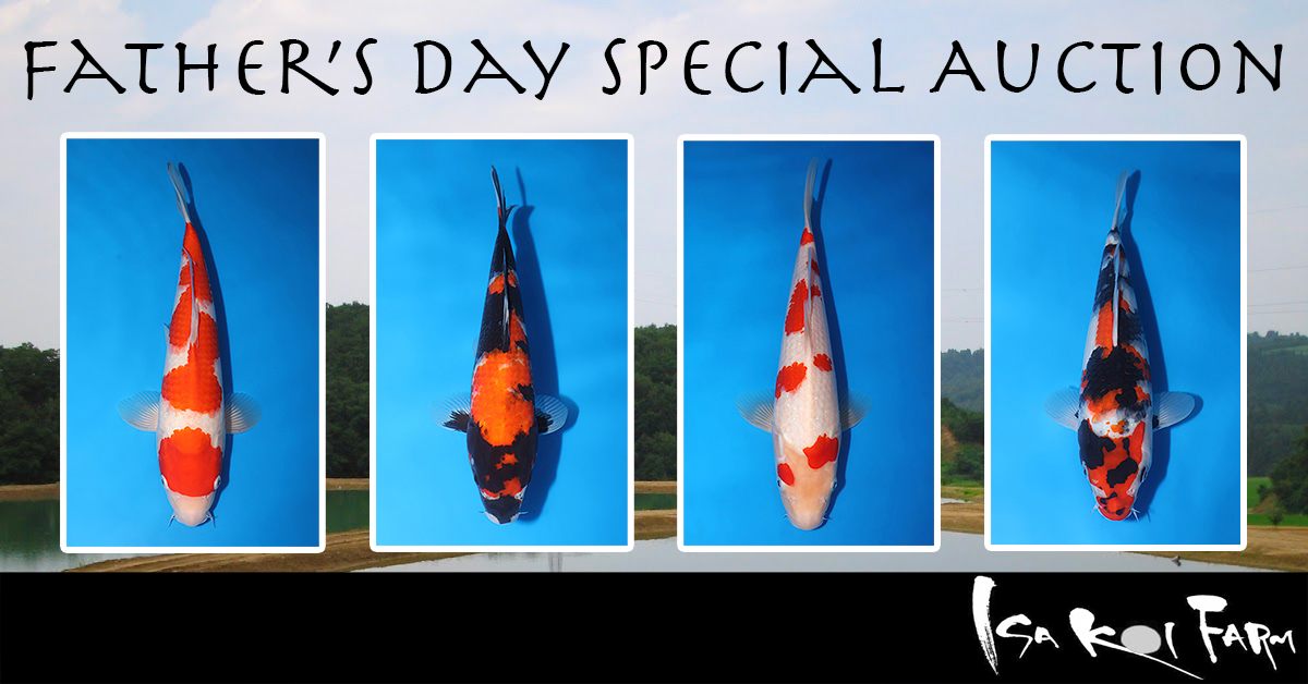 ISA Fathers Day Special Auction Banner