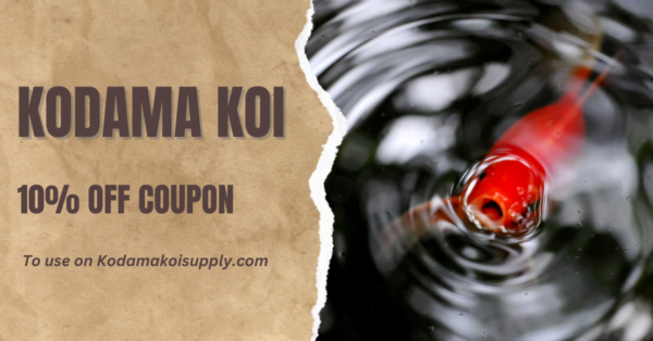 Kodama Koi Farm Coupons – 10% Off Purchase and More!