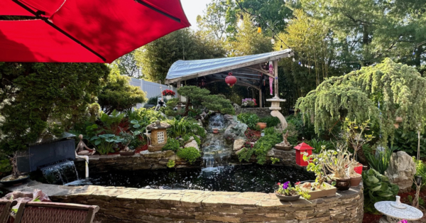 Customer Story: Backyard Koi Oasis with Val & Thomas