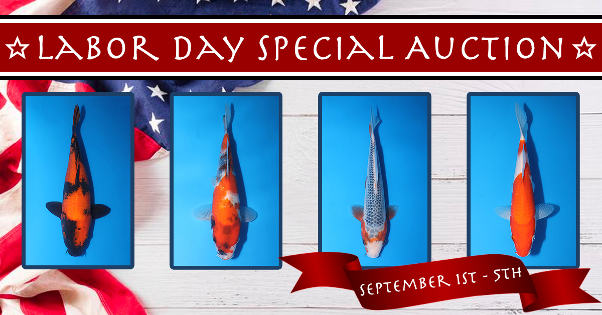 2023 Labor Day Special Auction No.2 Banner