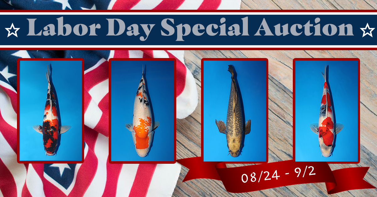 2024 Labor Day Special Auction Banner