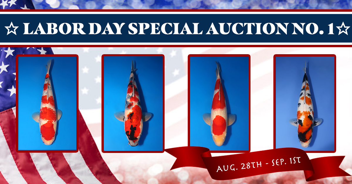 2025 Labor Day Special Auction No. 1 Banner