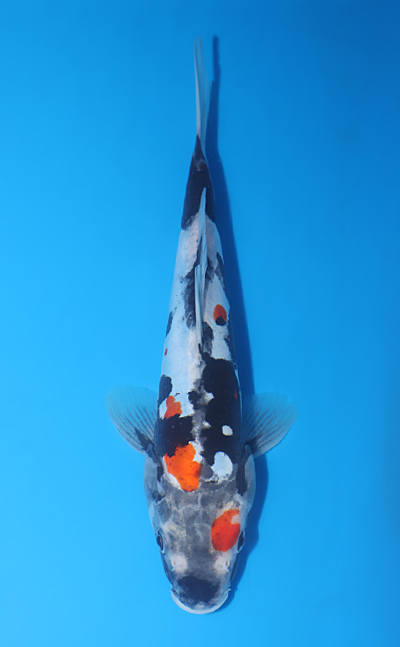 v0725a061
