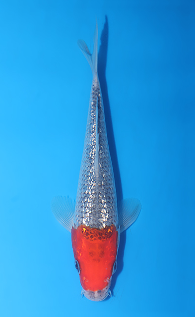 v0725a064