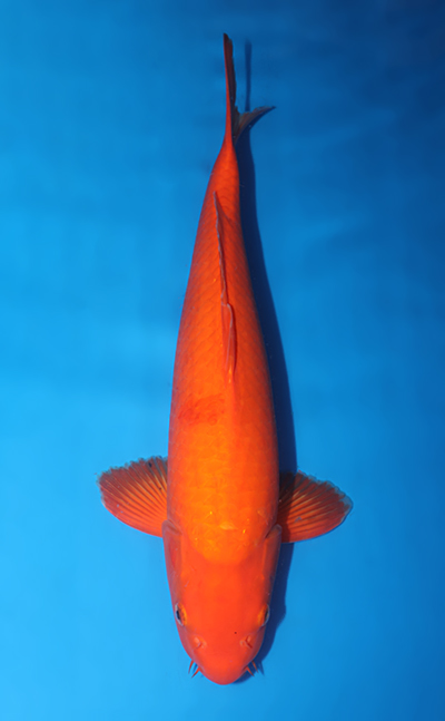 v0821s084