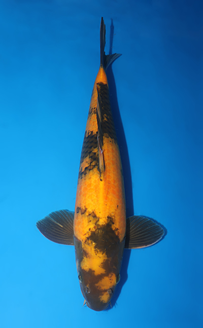 v0821s093