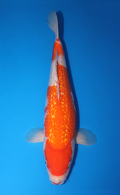 v0824s032