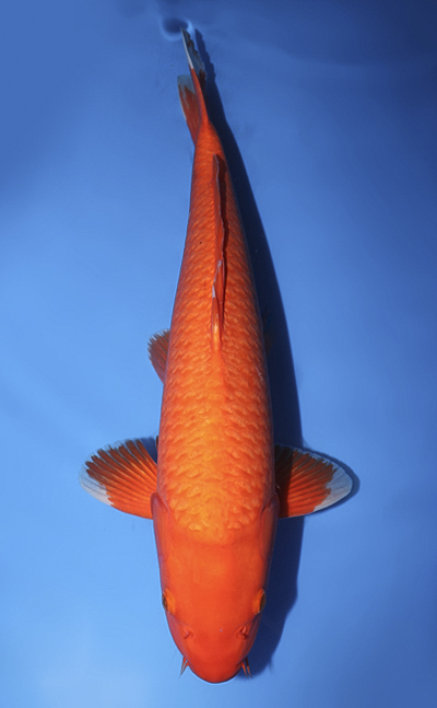 v0828s007