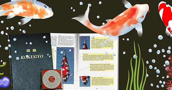 Koi and Pond Books to Become a Champion Koi Master