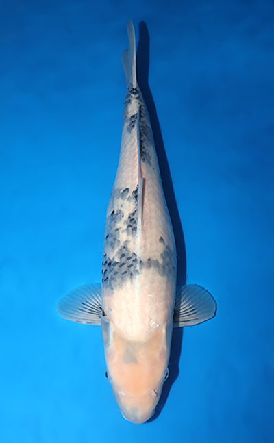 v1025s012