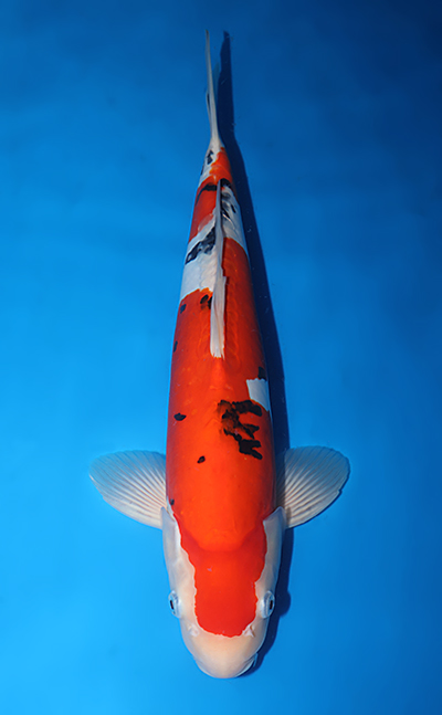 v1025s023