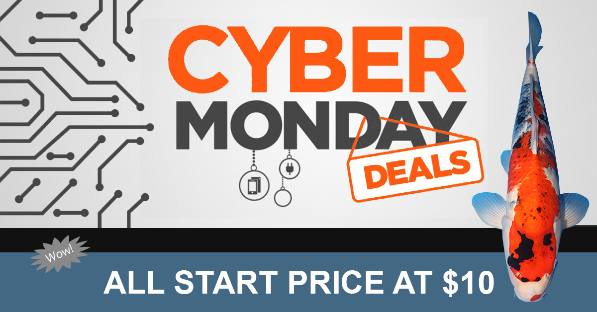2023 Cyber Monday Auction No.3