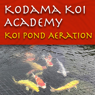 Koi-Academy-Aeration-Seminar