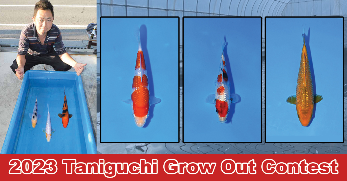 2023 Taniguchi Grow Out Landing Page Banner