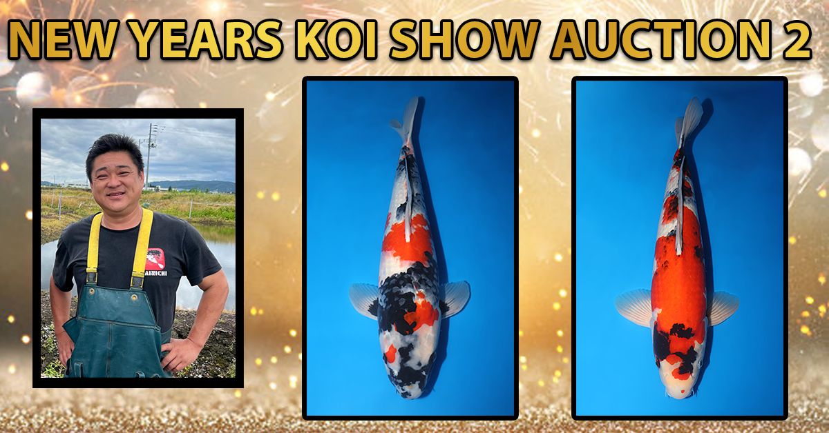 New Years Special Auction 2