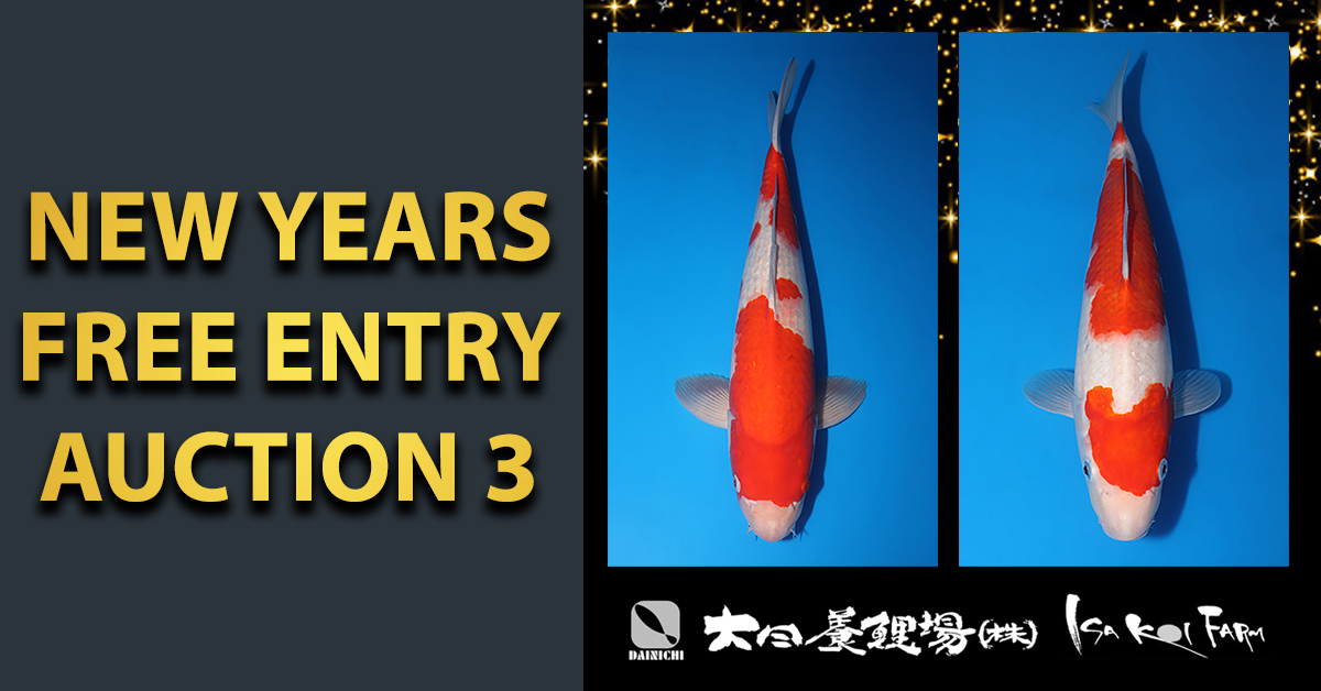 New Years Special Auction 3
