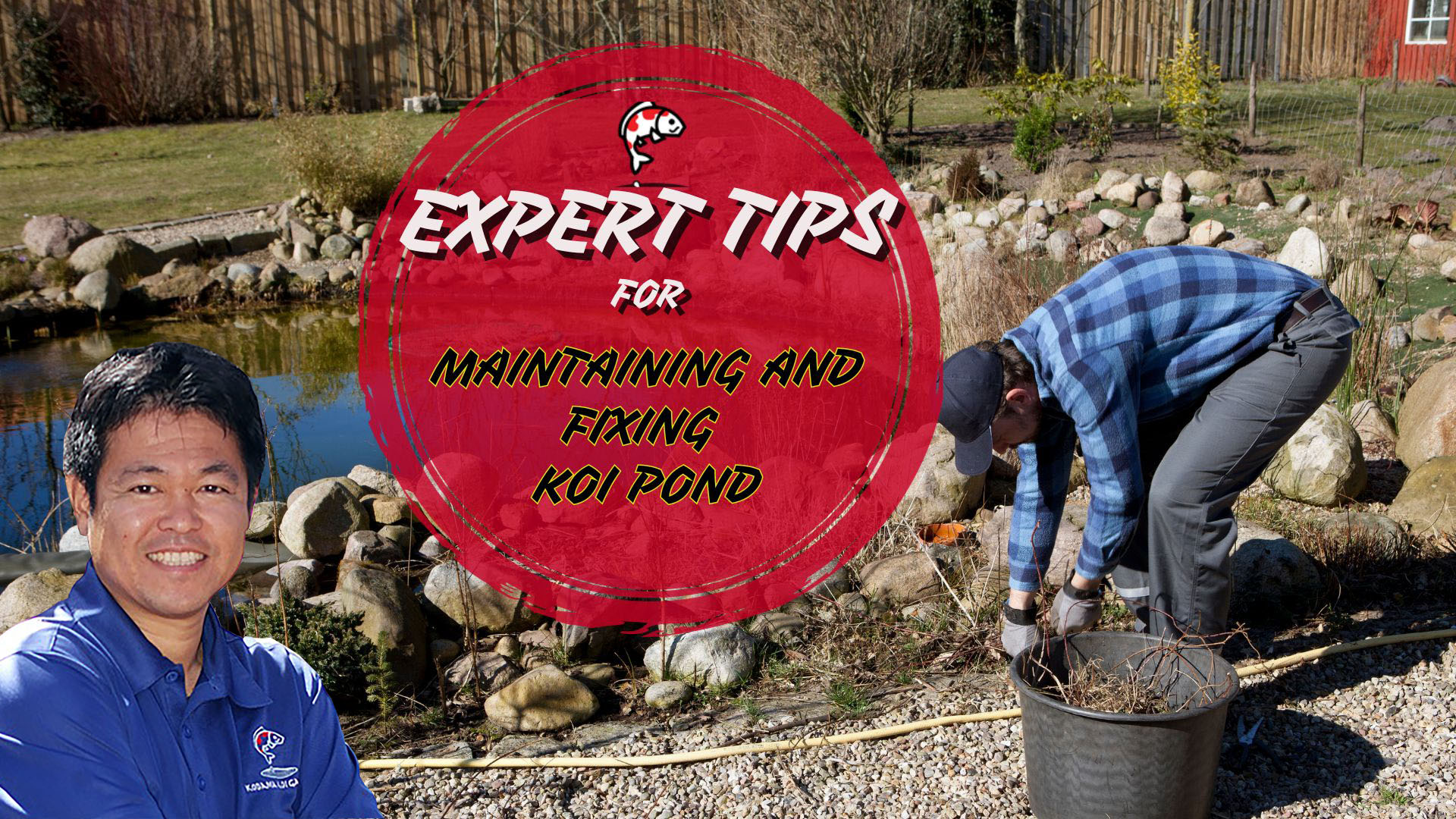 Expert Tips for Maintaining and Fixing Koi Pond Issues