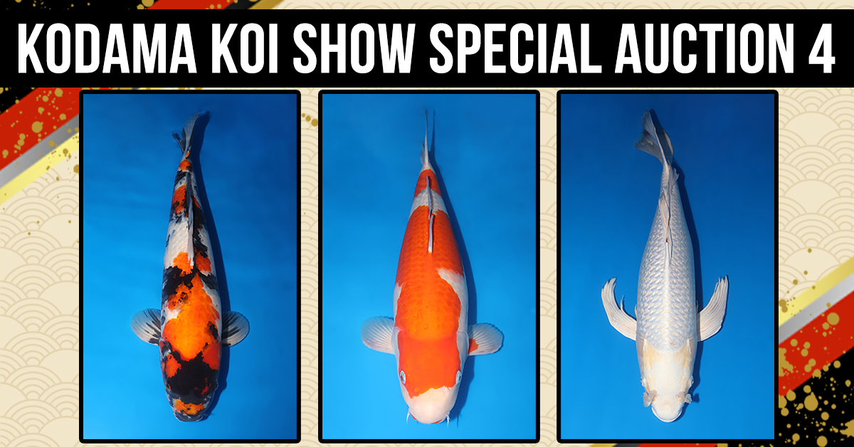 VKS Auction No. 4 Banner Header